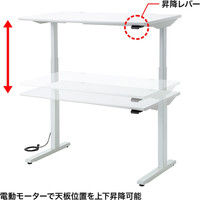 サンワサプライ 電動上下昇降デスク ホワイト 幅1200×奥行700×高さ630～1280mm ERD-M12070W 1台（直送品）