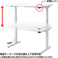 サンワサプライ 電動上下昇降デスク ホワイト 幅1200×奥行800×高さ630～1280mm ERD-M12080W 1台（直送品）