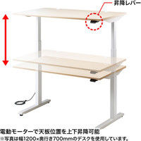 サンワサプライ 電動上下昇降デスク 薄い木目 幅1400×奥行800×高さ630～1280mm ERD-M14080LM 1台（直送品）