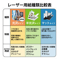 エレコム レーザー専用紙 ノーカット マット ホワイト A4 ELK-TFM10 1個（10枚入）（直送品）