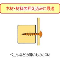 ダンドリビス ワッシャー付き長押ビス WA30 十字穴 クロメート 24号箱 4920125773534 1箱（168本入）（直送品）
