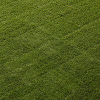 タカショー ふんわり人工芝 30×30 9枚セット BIP-D01/9S（直送品）