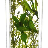 ハーバリウム/ブルー＆グリーン2種セット プリマ（直送品）