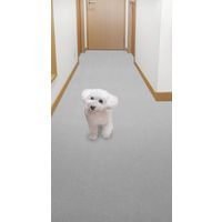 サンコー おくだけ吸着ロングマット90×800cm ライトグレー KP-52 1枚