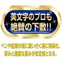 共栄プラスチック ORIONS 硬筆用ソフト透明下敷 B4 オレフィン NO.120 NO.12022 1セット(2枚)
