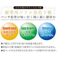 共栄プラスチック 下敷 オリオンズ 硬筆用 ソフト A4 黒色 S SBL-A4 1セット(2枚)