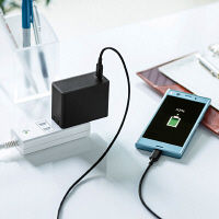 サンワサプライ USB Power Delivery対応AC充電器(45W) ACA-PD58BK 1個（直送品）