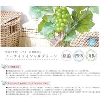 キシマ プレリエ 消臭アーティフィシャルグリーンL ブラウン KH-61037 1個