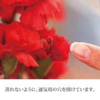 ヘッズ BKFギフトOPPポットバッグ-L BKF-OPCL 1セット（250枚：50枚×5パック）（直送品）