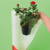 ヘッズ フラワーギフトOPPバッグ-3 FL-O3 1セット（500枚：50枚×10パック）（直送品）