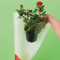 ヘッズ フラワーギフトOPPバッグ-5 FL-O5 1セット（500枚：50枚×10パック）（直送品）