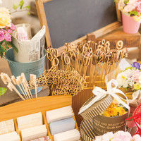 ヘッズ ナンバーピック-ゼロ NO-FP10 1セット（50本：10本×5パック）（直送品）