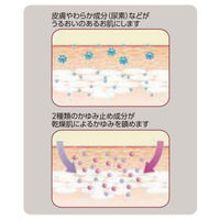 メディータム20DX ローション 120g ラクール薬品販売 尿素20%配合 かゆみを伴う乾燥肌【第2類医薬品】
