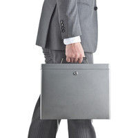 サンワダイレクト 鍵付きファイルボックス（マイナンバー対策・取手付き・書類入れ・A4ファイル収納可能） 200-SL032GY 1個（直送品）