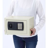 サンワダイレクト 小型電子金庫 200-SL038GY 1個（直送品）