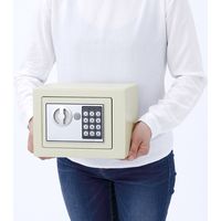 サンワダイレクト 小型電子金庫 200-SL039GY 1個（直送品）
