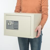 サンワダイレクト 電子金庫（マイナンバー・セキュリティ-対策・家庭用・テンキー・鍵式・壁掛け対応・中棚付き・21リットル） 200-SL044 1個（直送品）