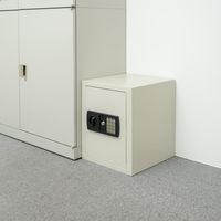 サンワダイレクト 電子金庫（マイナンバー・セキュリティ-対策・家庭用・テンキー・鍵式・壁掛け対応・中棚付き・43リットル） 200-SL045 1個（直送品）