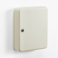 サンワダイレクト キーボックス（鍵ボックス・93本収納・鍵付き・壁固定・タグ付き） 200-SL061 1個（直送品）