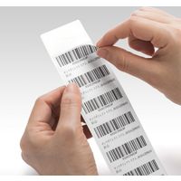 サンワダイレクト マルチ宛名ラベル（シールタイプ・44面・100枚入・A4・強粘着） 300-RB44 1個（直送品）