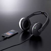 サンワダイレクト テレビヘッドホン ワイヤレス（最大30m・連続10時間） 400-HS032 1個（直送品）