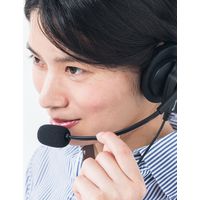 サンワダイレクト コールセンター用ヘッドセット/マイク搭載/RJ-9接続/片耳タイプ/ 400-HS043 1個（直送品）