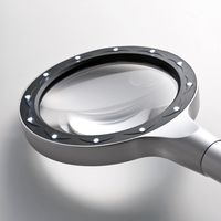 サンワダイレクト 手持ちルーペ（拡大鏡・LEDライト12個付・2.4倍＆4倍・シルバー） 400-LPE004 1個（直送品）