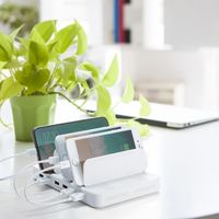 サンワダイレクト 充電器ステーション（USB充電器・スマホ・タブレット対応・最大6A/36W・6ポート搭載） 700-AC019W 1個（直送品）