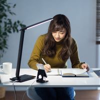 サンワダイレクト LEDデスクライト 800-LED021BK 1個（直送品）