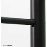 宮武製作所 コートハンガー ブラック MAD-PL03 BK 1台