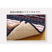 イケヒコ ゆったりーな 省スペース こたつ薄掛け布団単品 ノーデル 幅2800×奥行3200mm アイボリー  1枚（直送品）