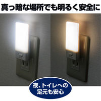 朝日電器 LEDセンサー付ライト PM-L104 1個