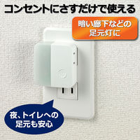 朝日電器 LEDスイッチ付ライト PM-LC101（W）（直送品）