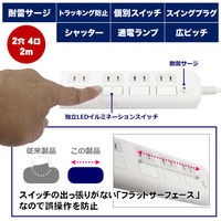 朝日電器 耐雷フラットスイッチ付タップ4P2m WBS-LS402F(W) 1個