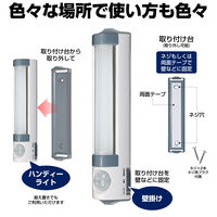 朝日電器 LEDセンサー付ライト PM-L255 1個