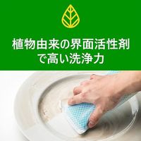 エコベール 食器用洗剤 ディッシュソープ カモミールの香り 詰め替え 950mL 1個 ECOVER アメリカンディールスコーポレーション