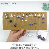 日本スリービー・サイエンティフィック DNA・RNA分子模型 教育用 吊下げ型DNA分子模型組立キット W19800 1セット（直送品）