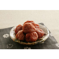 日本海水 並塩 25kg 747042 1袋(25Kg)