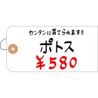 ササガワ ユポ荷札 大 25-1230 1箱(1000枚入)
