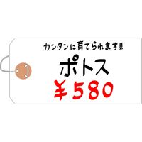ササガワ 耐水紙荷札 大 25-1330 1セット(1000枚箱入:5