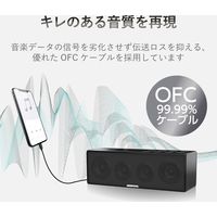 エレコム AUXケーブル/Lightning-φ3.5オス/スリムデザイン/1.0m/ブラック AX-L35D10BK 1個