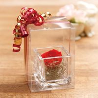 シモジマ クリスタルBOX W-2 006831200 1セット（10枚入×10）（直送品）