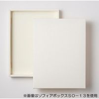 シモジマ ソフィアBOX SO-18 006857180 1セット（10枚入×10）（直送品）