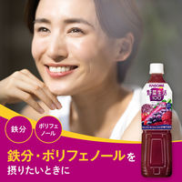 カゴメ　野菜生活100 ベリーサラダ　スマートPET　720ml　1セット（30本）【野菜ジュース】