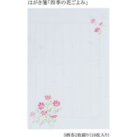 あかしや はがき箋「四季の花ごよみ」 AO-03L 1セット(5セット)（直送品）
