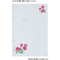 あかしや はがき箋「野の花ごよみ」 AO-04L 1セット(5セット)（直送品）
