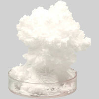 アーテック 結晶づくり 55795 2セット（直送品）