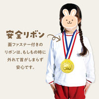 アーテック ゴールド・3Dビッグメダル ライオン(ピース) 1995 1セット(1個×3)