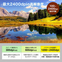 スキャナ　A3サイズ対応　フラットヘッド　2400dpi対応　TWAIN対応　高速スキャン　PSC-12UF　サンワサプライ　1個（直送品）