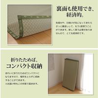 イケヒコ・コーポレーション 不知火 団地間2畳 1400011011202 1枚